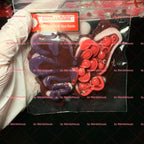 Butterfly Skull Taba Squishy gift pack